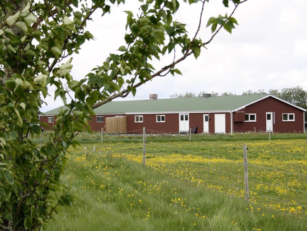 Kaldbakur Guesthouse Heimaland Exteriér fotografie
